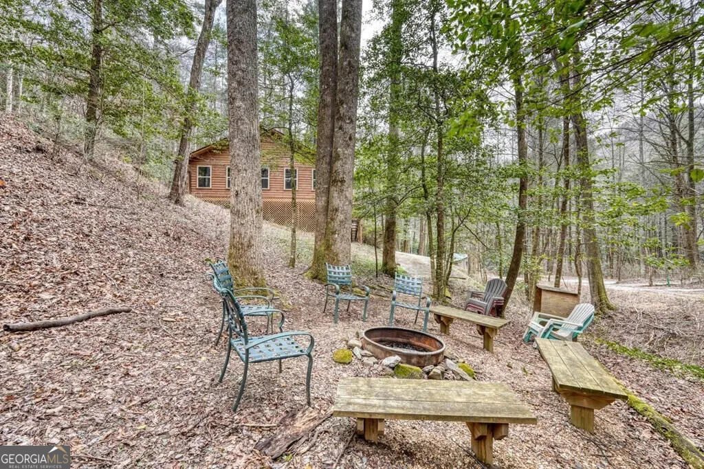 445 Helton Creek Road Blairsville - Photo 28