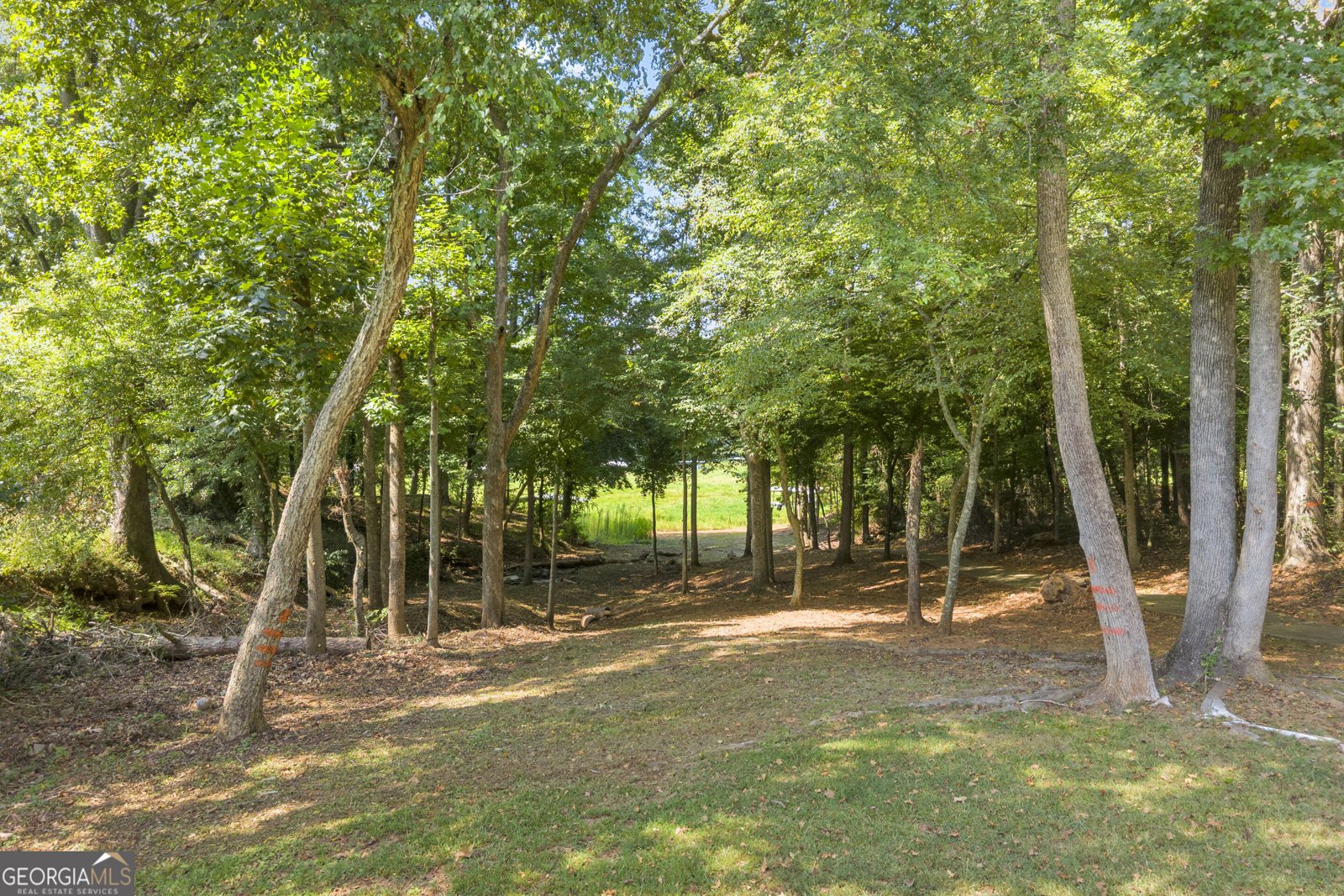 7 Stillwater Road Lavonia - Photo 52