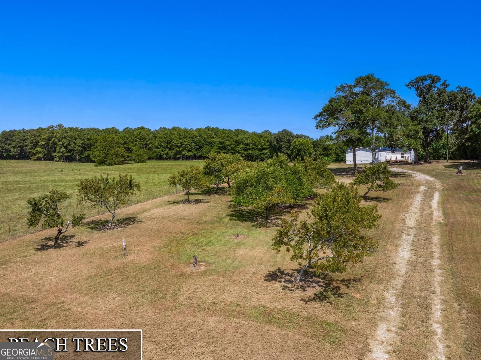 3068 Gregg Shoals Elberton - Photo 38