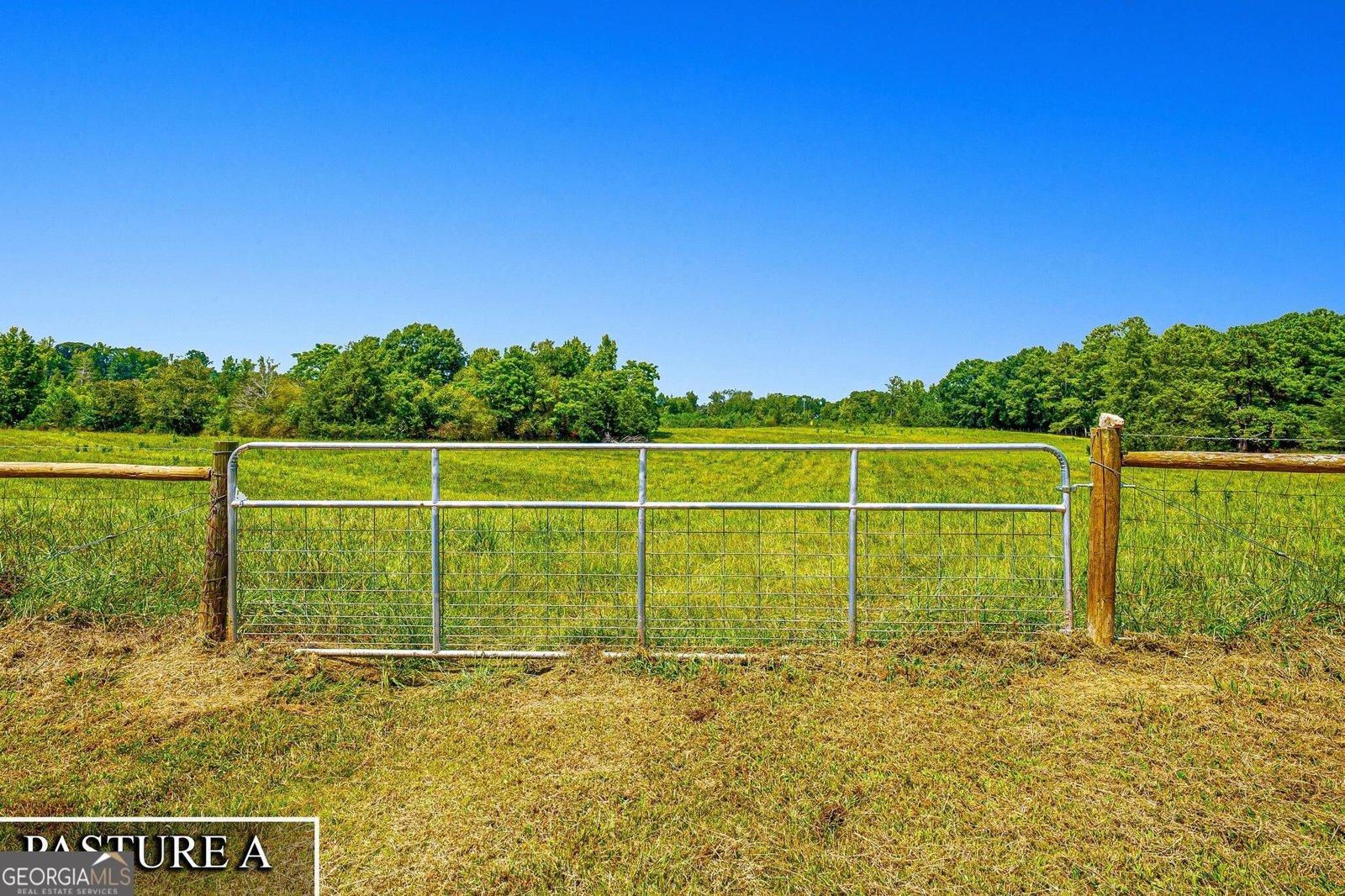 3068 Gregg Shoals Elberton - Photo 39