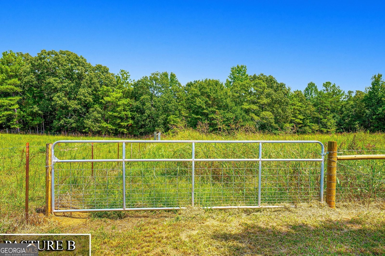 3068 Gregg Shoals Elberton - Photo 41