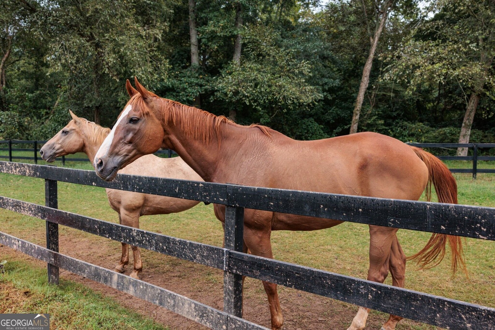 285 Air Acres Way Woodstock - Photo 45