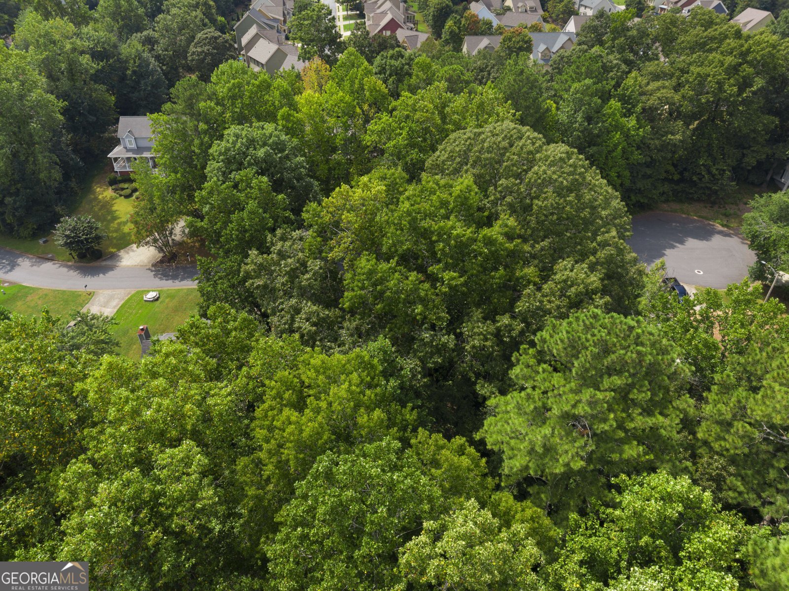 1860 Hickory Creek Court Acworth - Photo 52