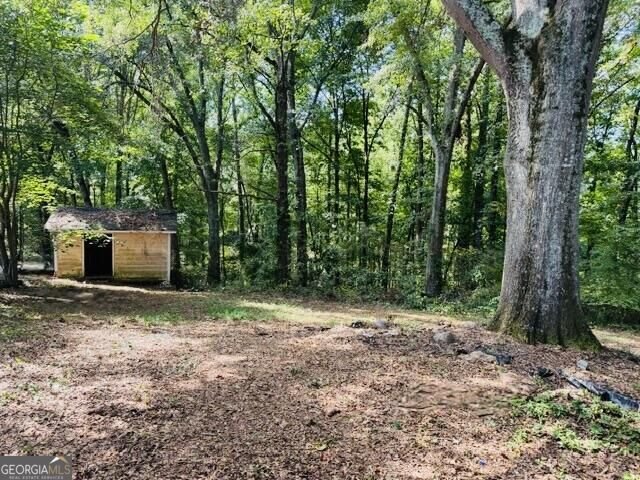 145 Triple Tree Drive Carrollton - Photo 53