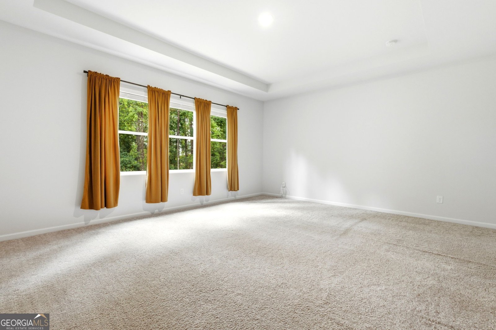 462 Sylvie Drive Mcdonough - Photo 48