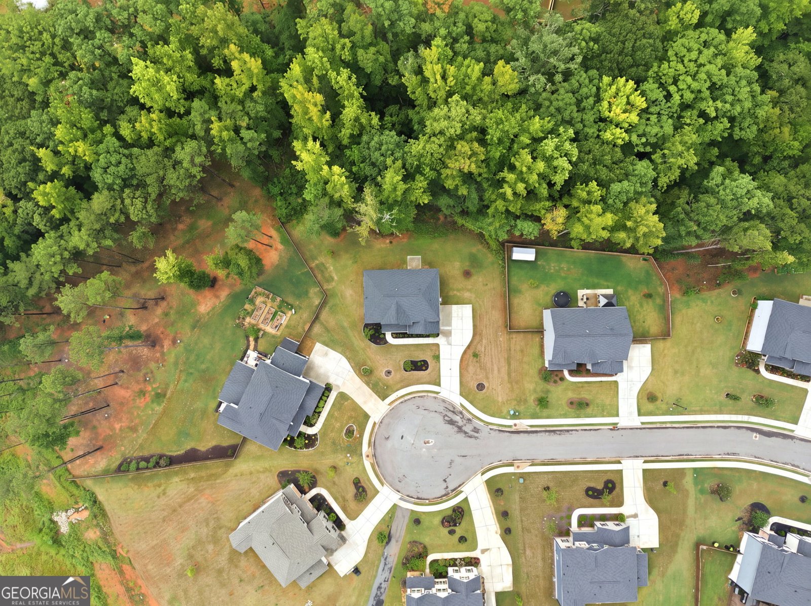 462 Sylvie Drive Mcdonough - Photo 9