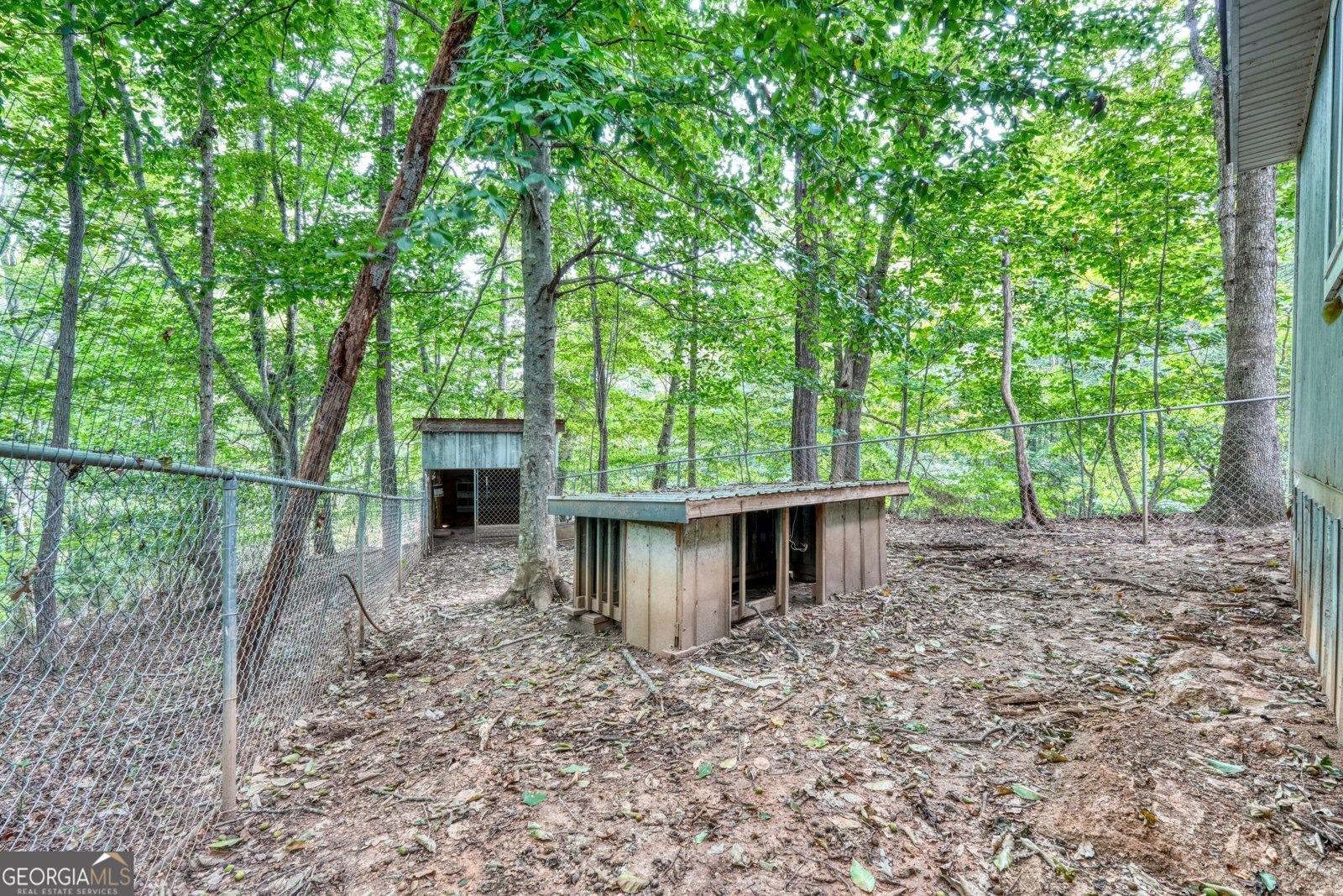 8296 True Love Mountain Road Young Harris - Photo 50