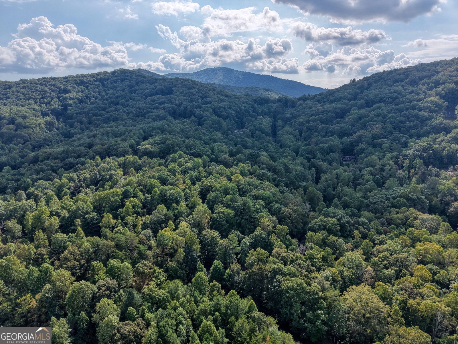 8296 True Love Mountain Road Young Harris - Photo 54