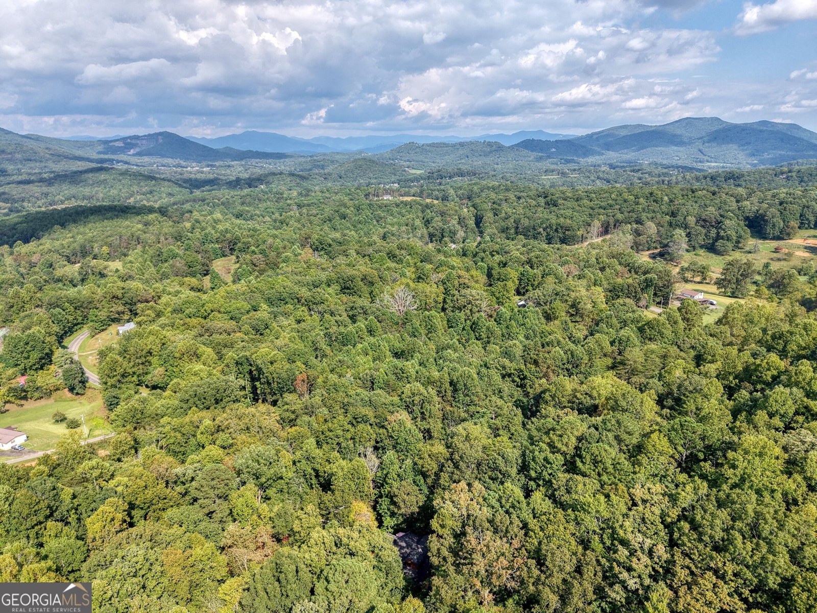 8296 True Love Mountain Road Young Harris - Photo 55