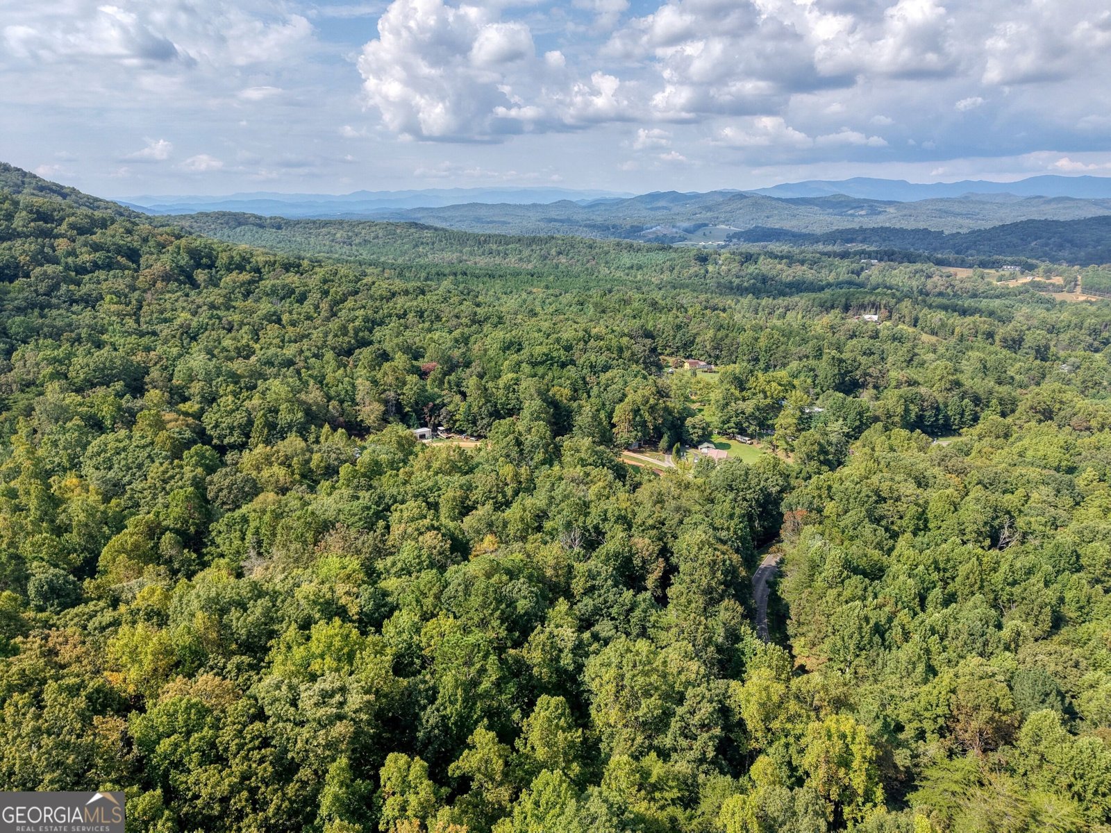 8296 True Love Mountain Road Young Harris - Photo 56