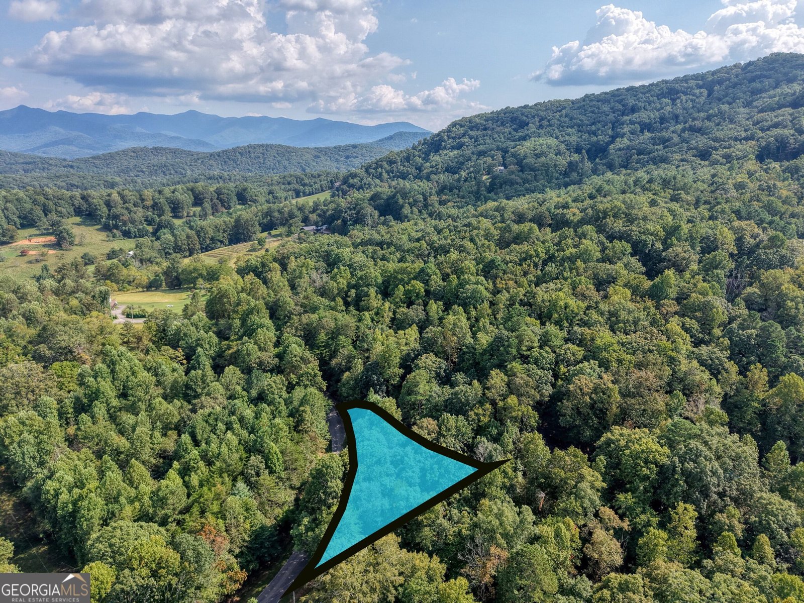 8296 True Love Mountain Road Young Harris - Photo 6