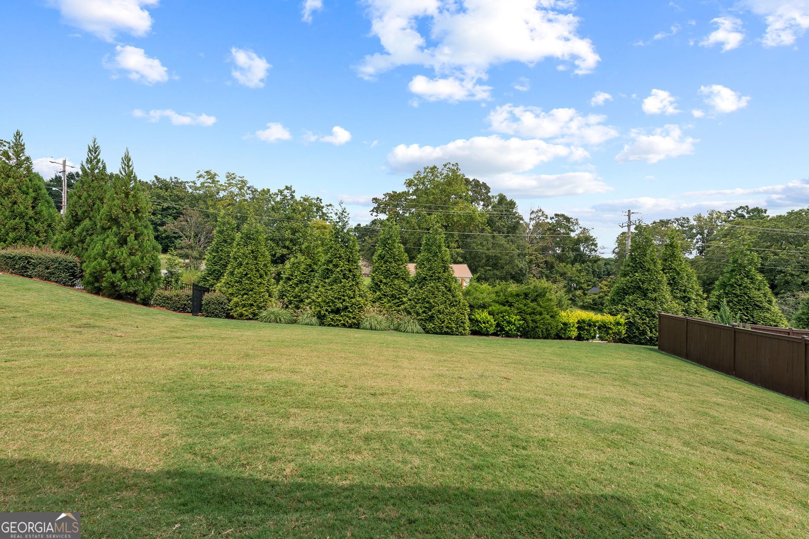 4459 Ed Merritt Circle Buford - Photo 51