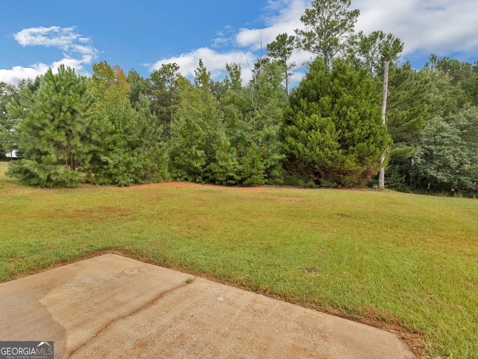 11704 Spring Lake Way Fayetteville - Photo 48