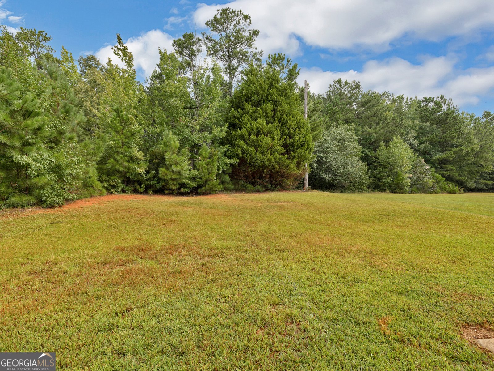 11704 Spring Lake Way Fayetteville - Photo 49