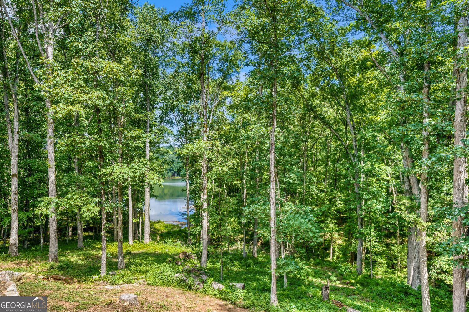 4420 Parkwood Road Social Circle - Photo 32