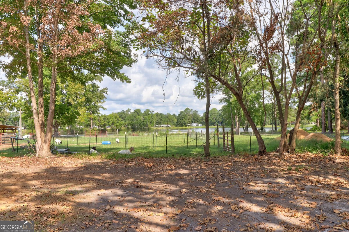 598 Clark Road Guyton - Photo 36
