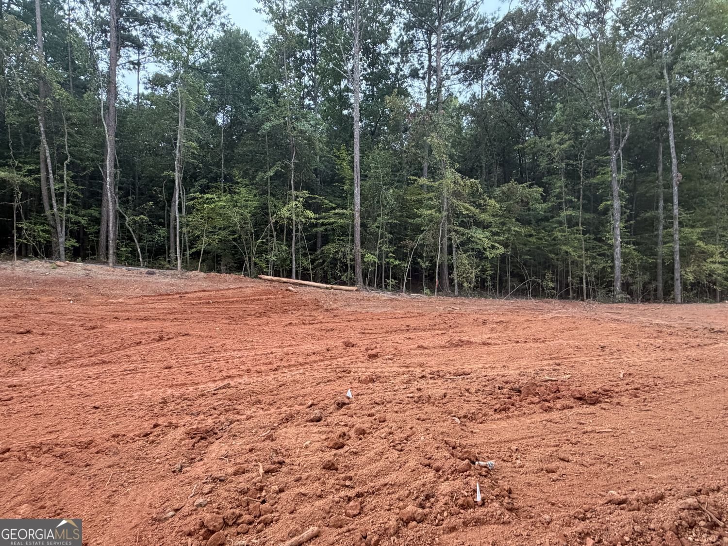 169 Avalee Road Brooks - Photo 13