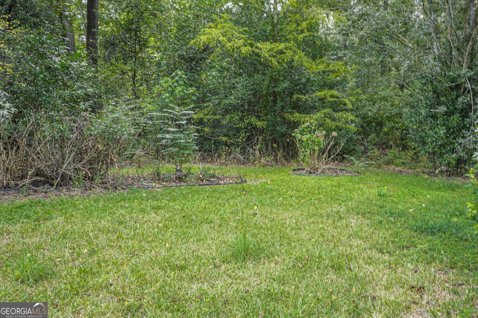 111 Slough Creek Road Statesboro - Photo 59