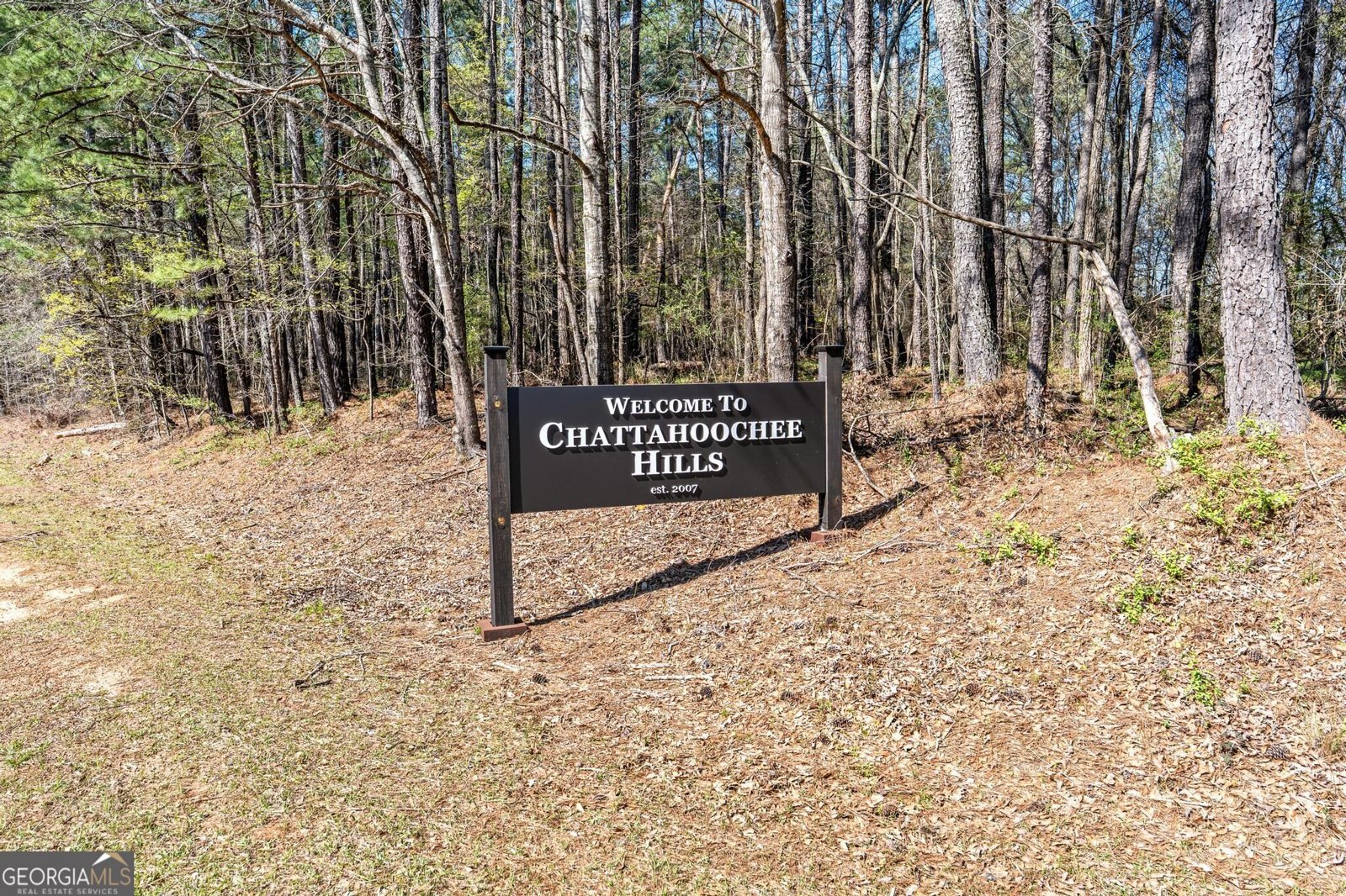 155 Bear Run Court Chattahoochee Hills - Photo 48