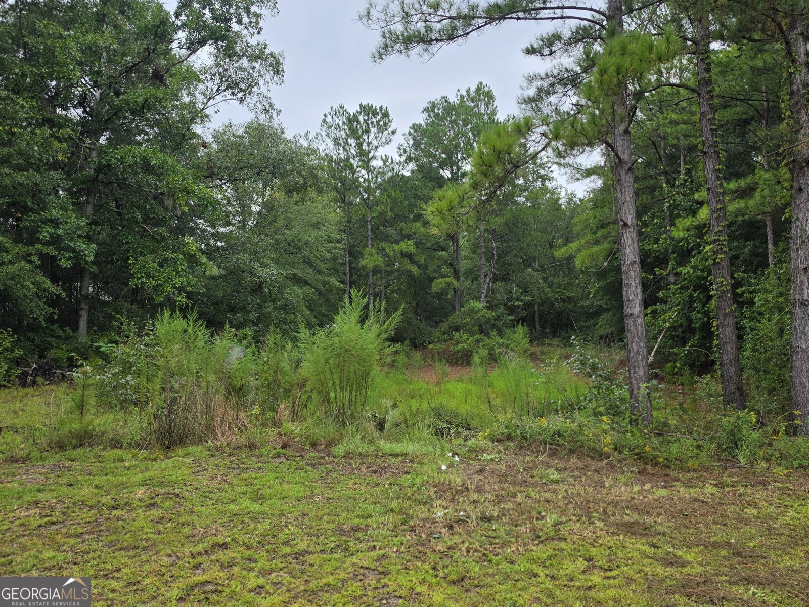 3594 Bennetts Landing Road Millen - Photo 6