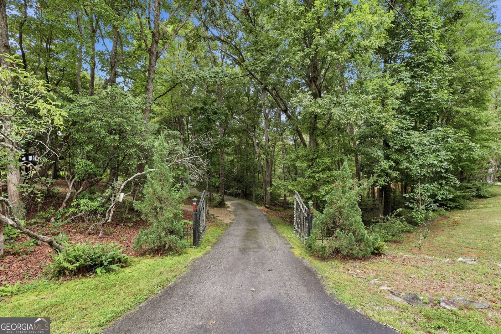 491 Jim Carter Road Clarkesville - Photo 60