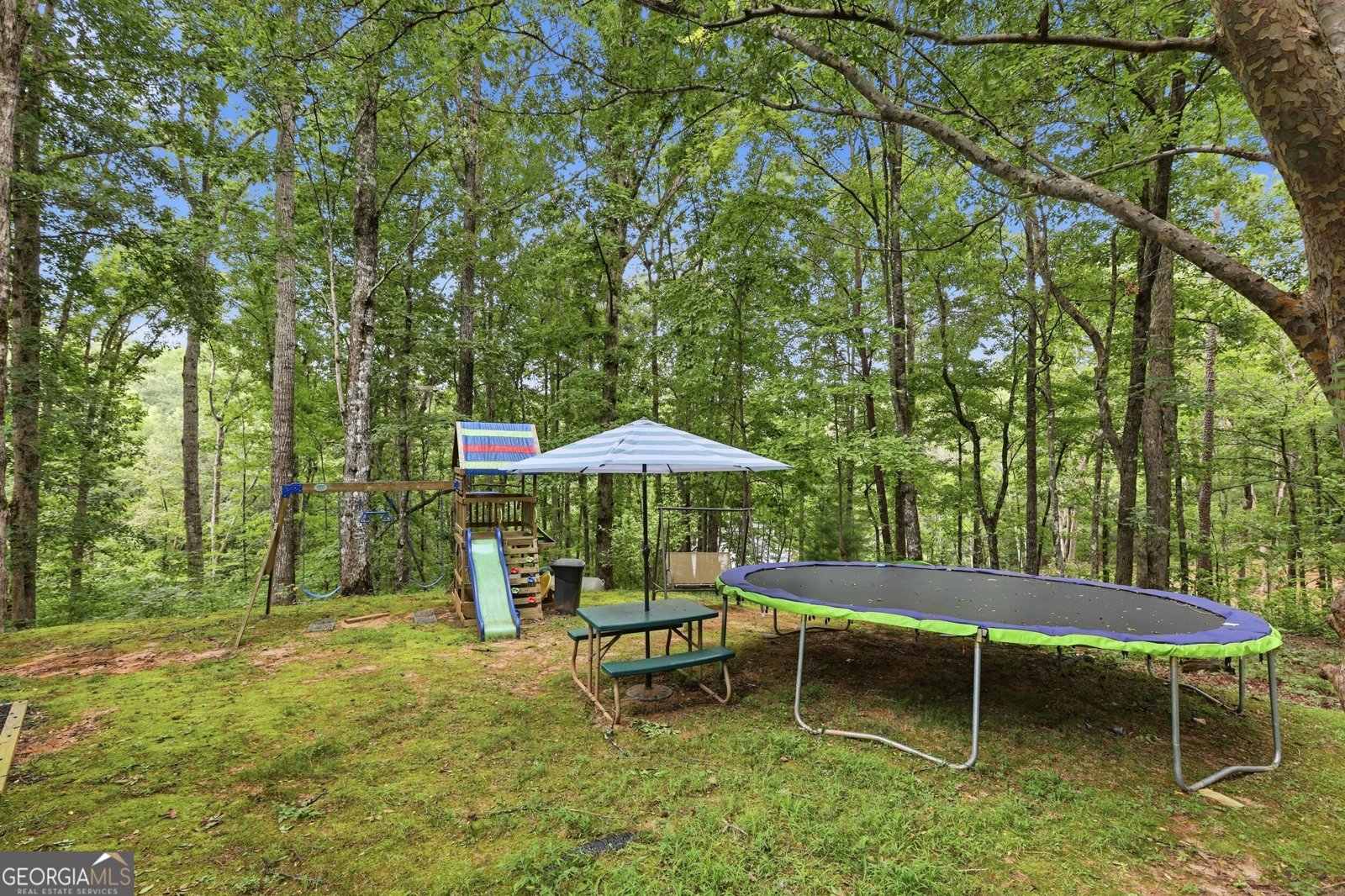 491 Jim Carter Road Clarkesville - Photo 61