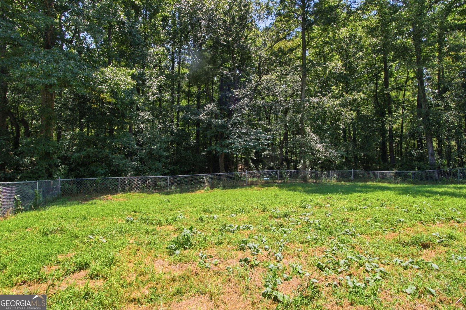 226 David Larsen Drive Stockbridge - Photo 42