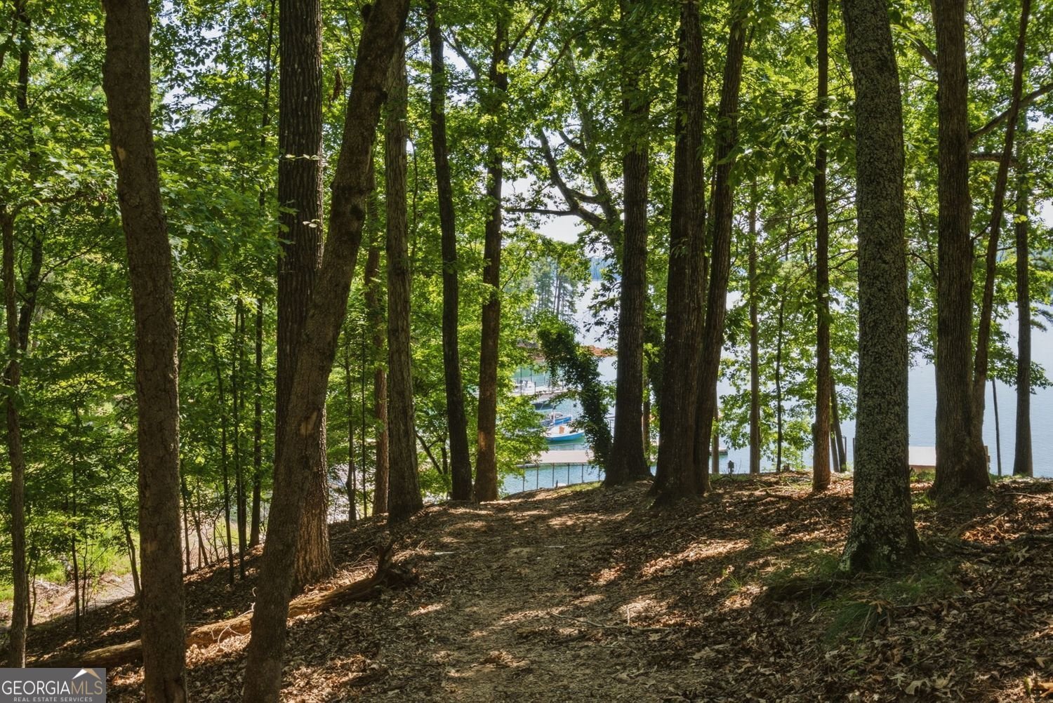 7875 Robin Road Cumming - Photo 56