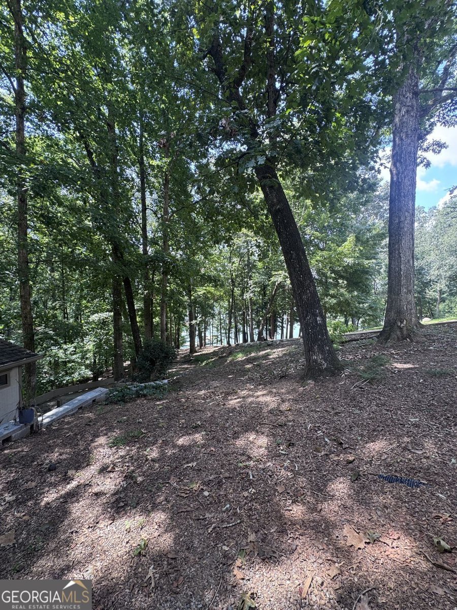 7875 Robin Road Cumming - Photo 6