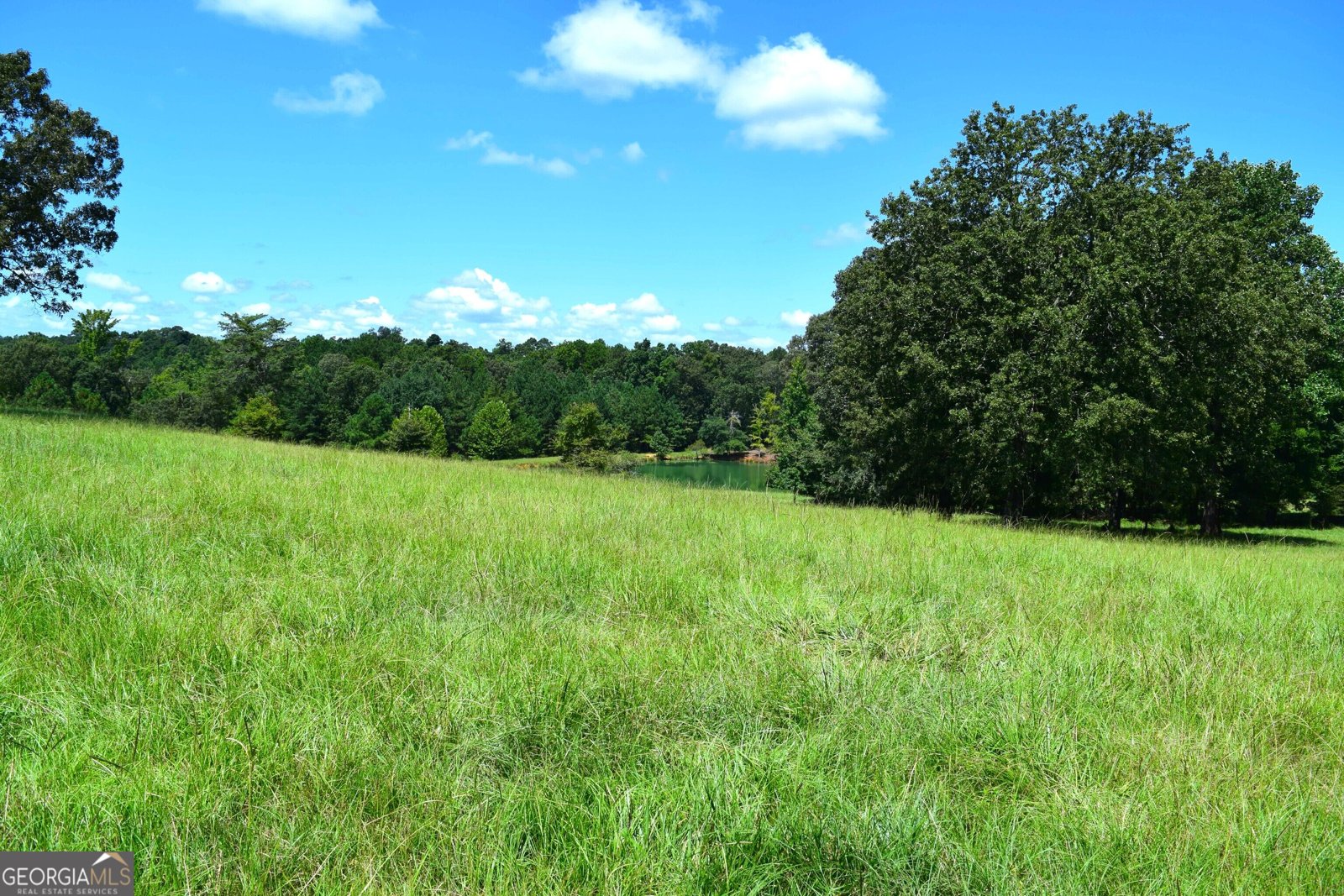 373 Gray Road Eatonton - Photo 47