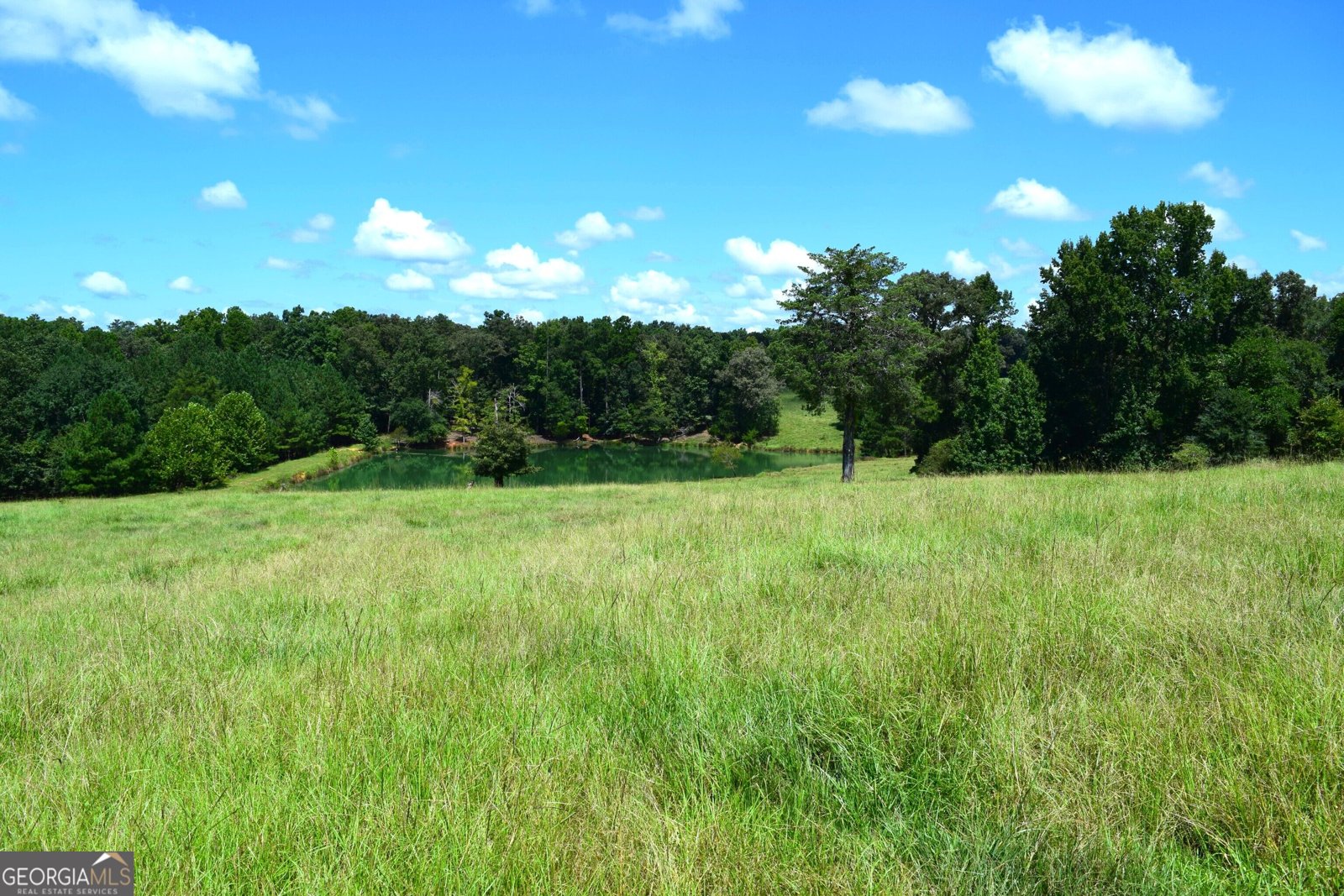 373 Gray Road Eatonton - Photo 48