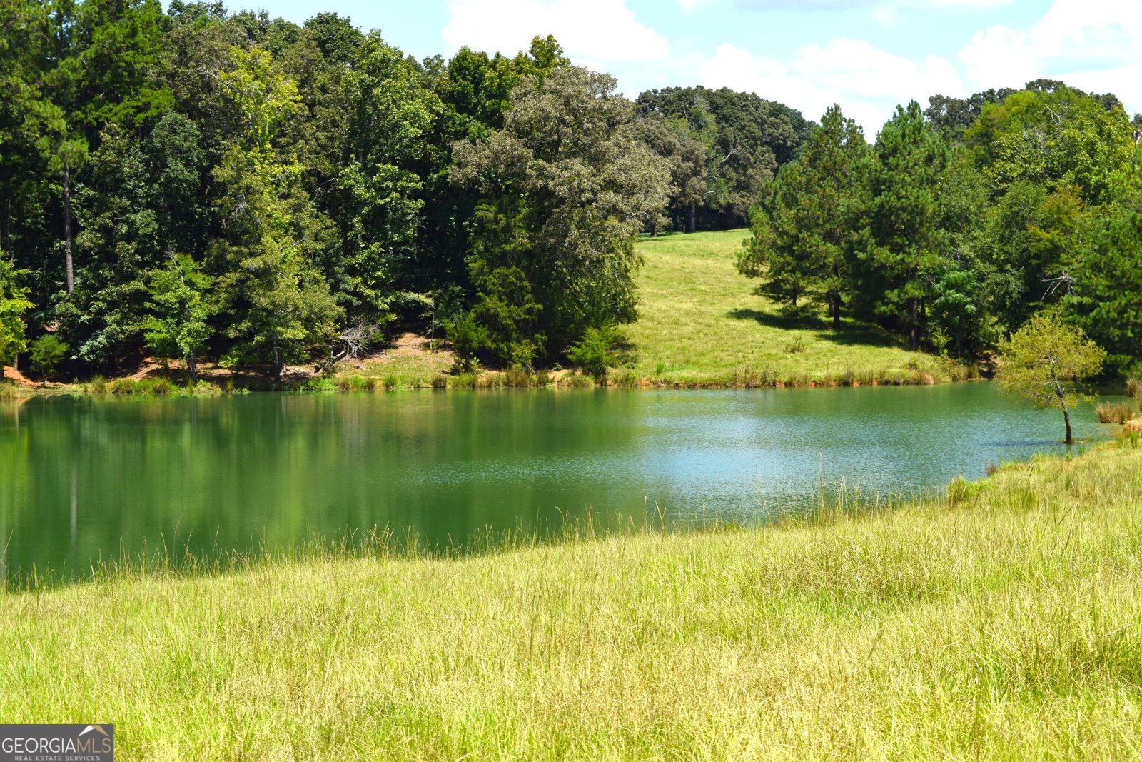 373 Gray Road Eatonton - Photo 50