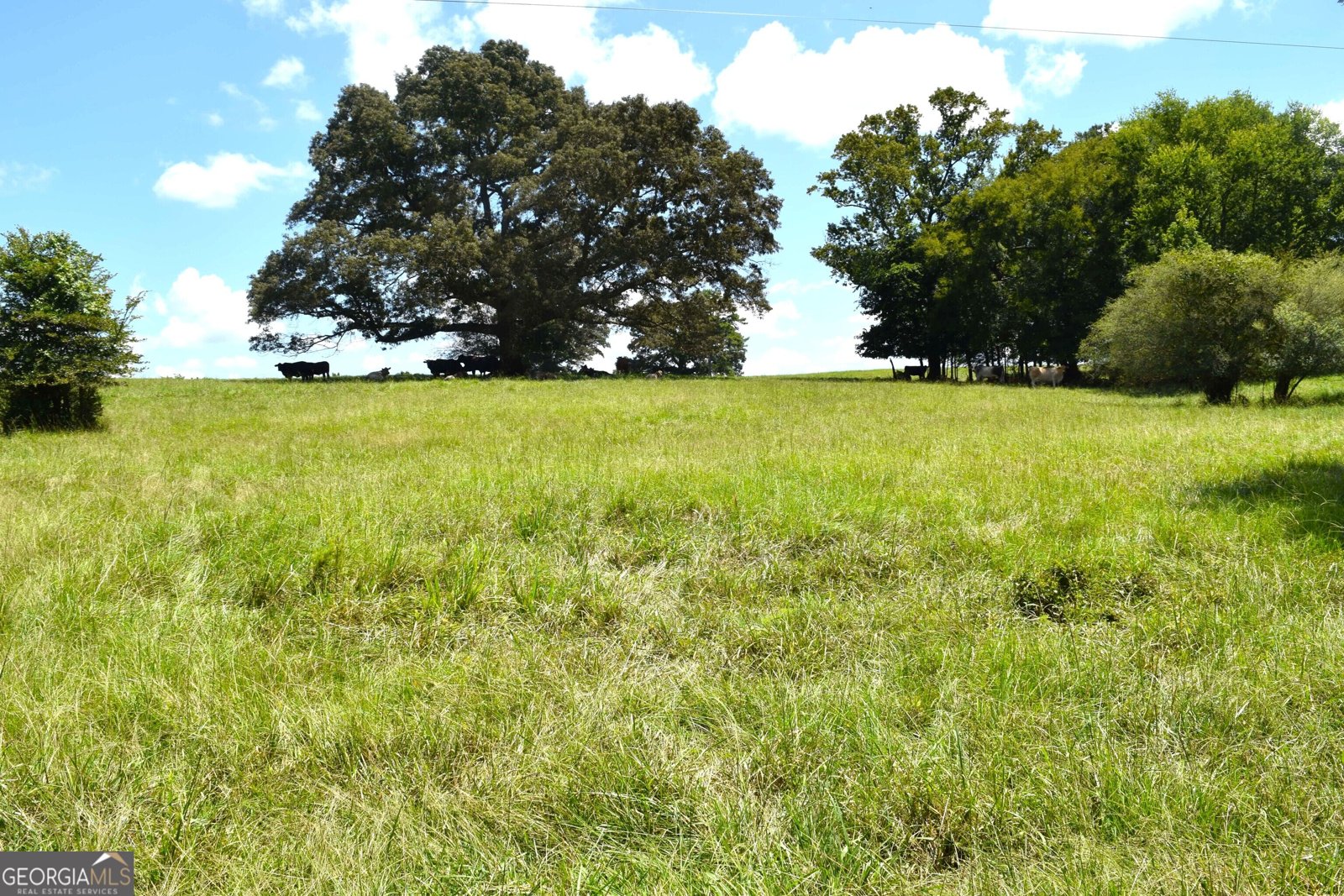 373 Gray Road Eatonton - Photo 58