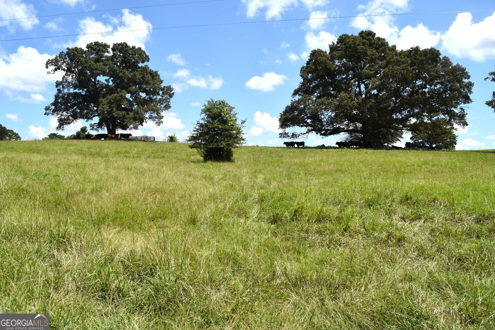 373 Gray Road Eatonton - Photo 59
