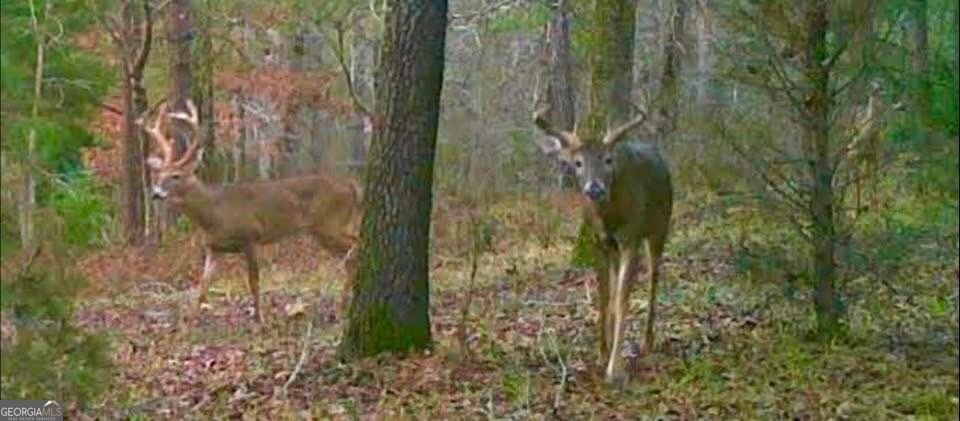 373 Gray Road Eatonton - Photo 7