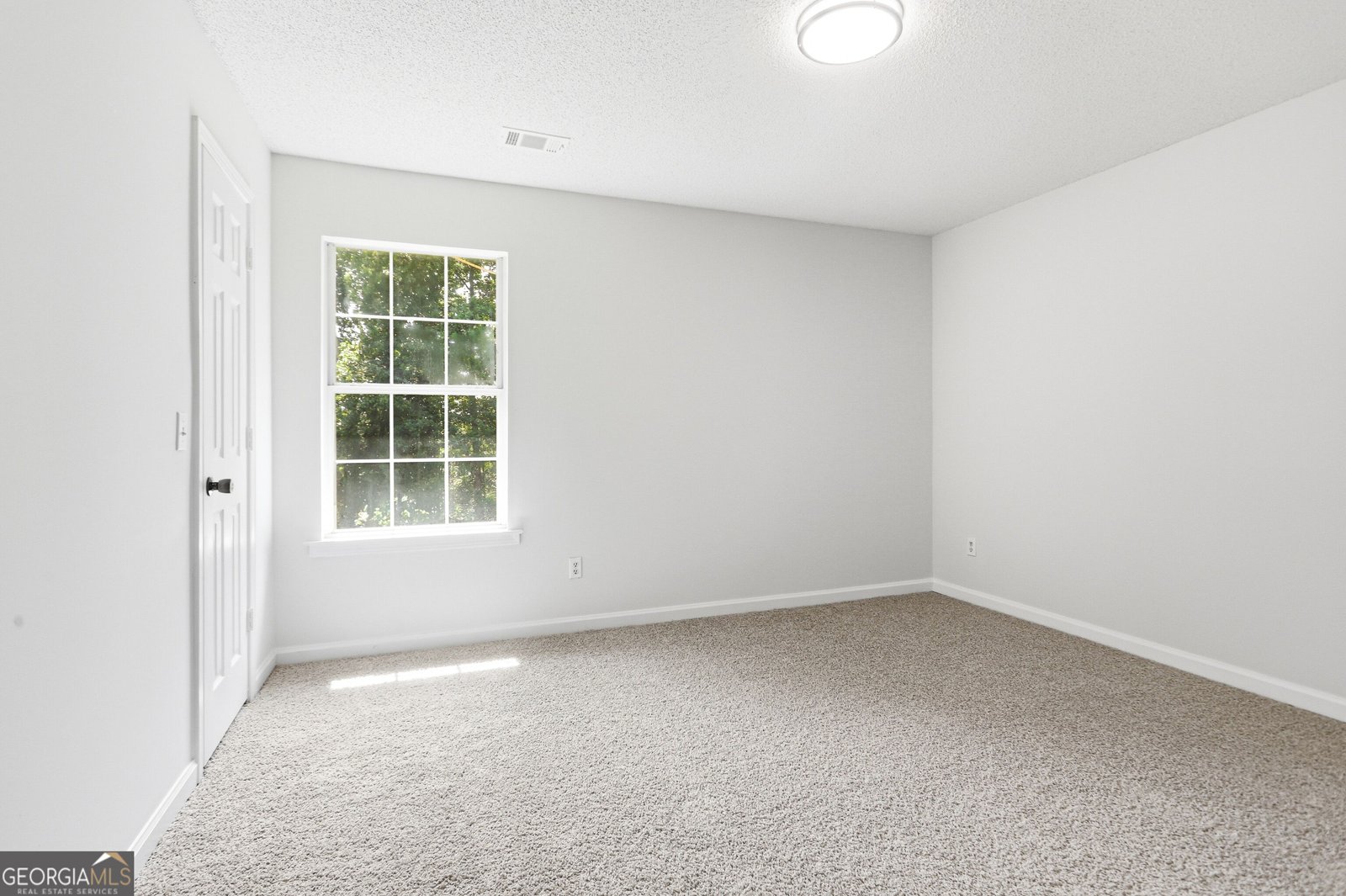 1336 Fate Conn Road Canton - Photo 21