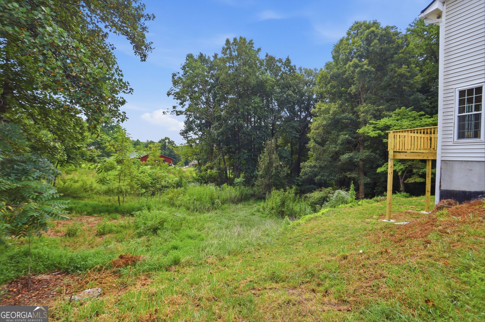 1336 Fate Conn Road Canton - Photo 45