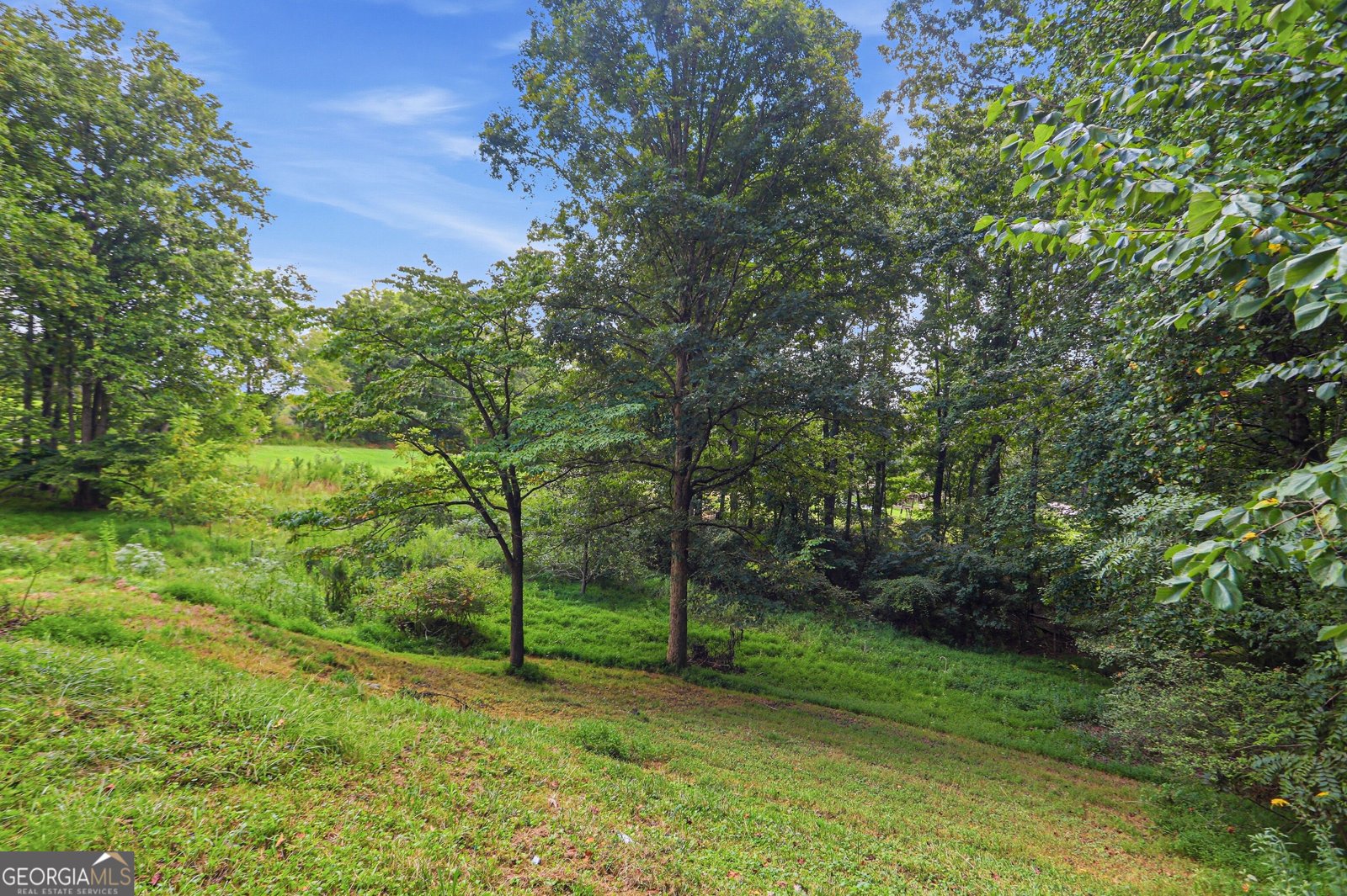 1336 Fate Conn Road Canton - Photo 46