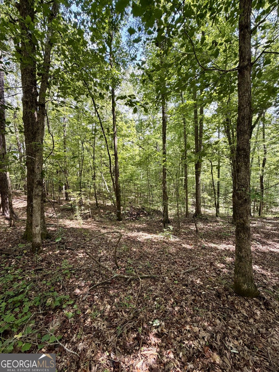 971 Bo Bo Banks Road Grantville - Photo 42