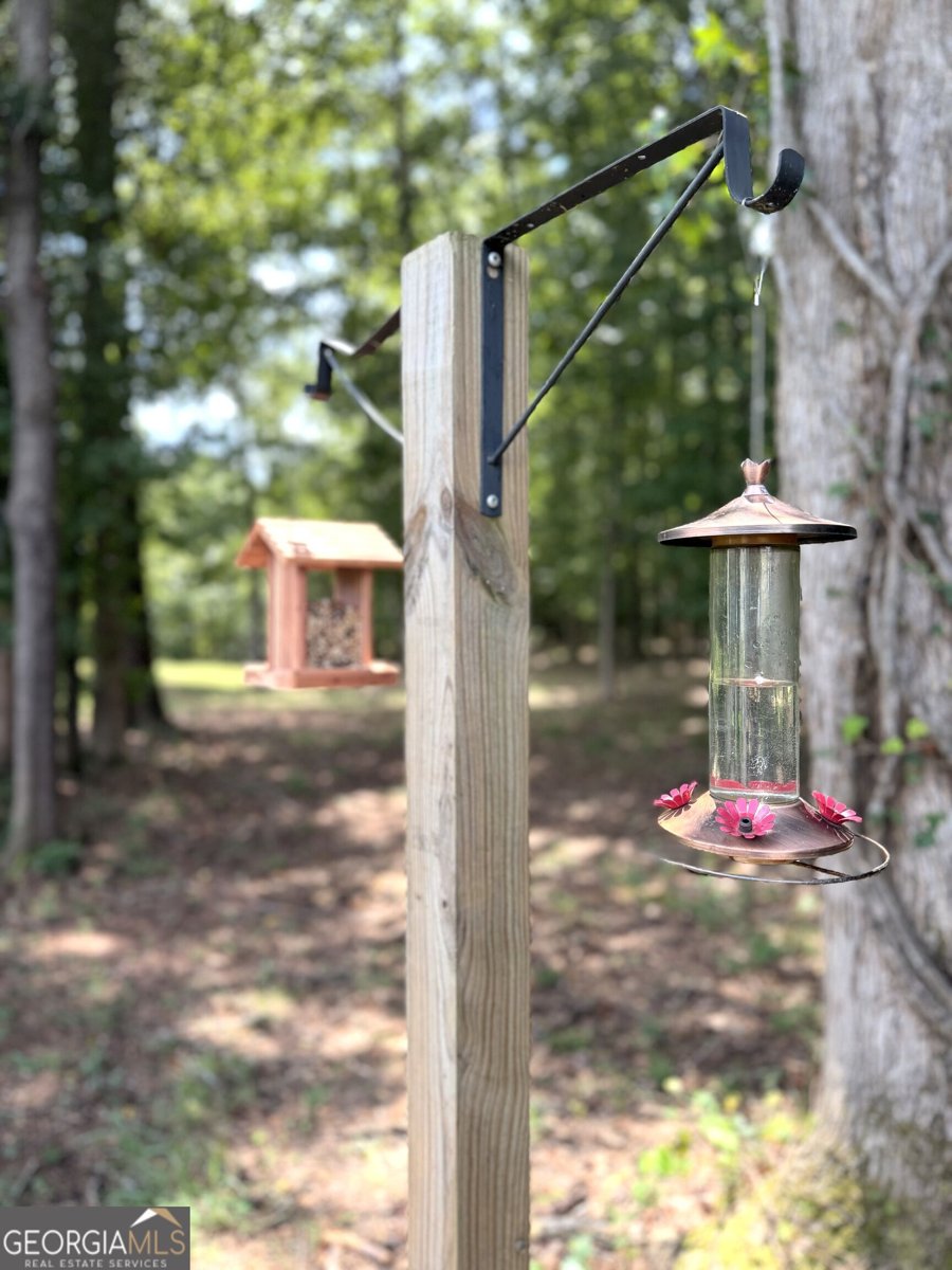 971 Bo Bo Banks Road Grantville - Photo 43