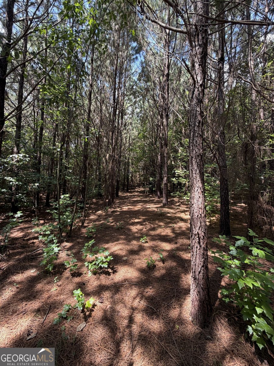 971 Bo Bo Banks Road Grantville - Photo 46