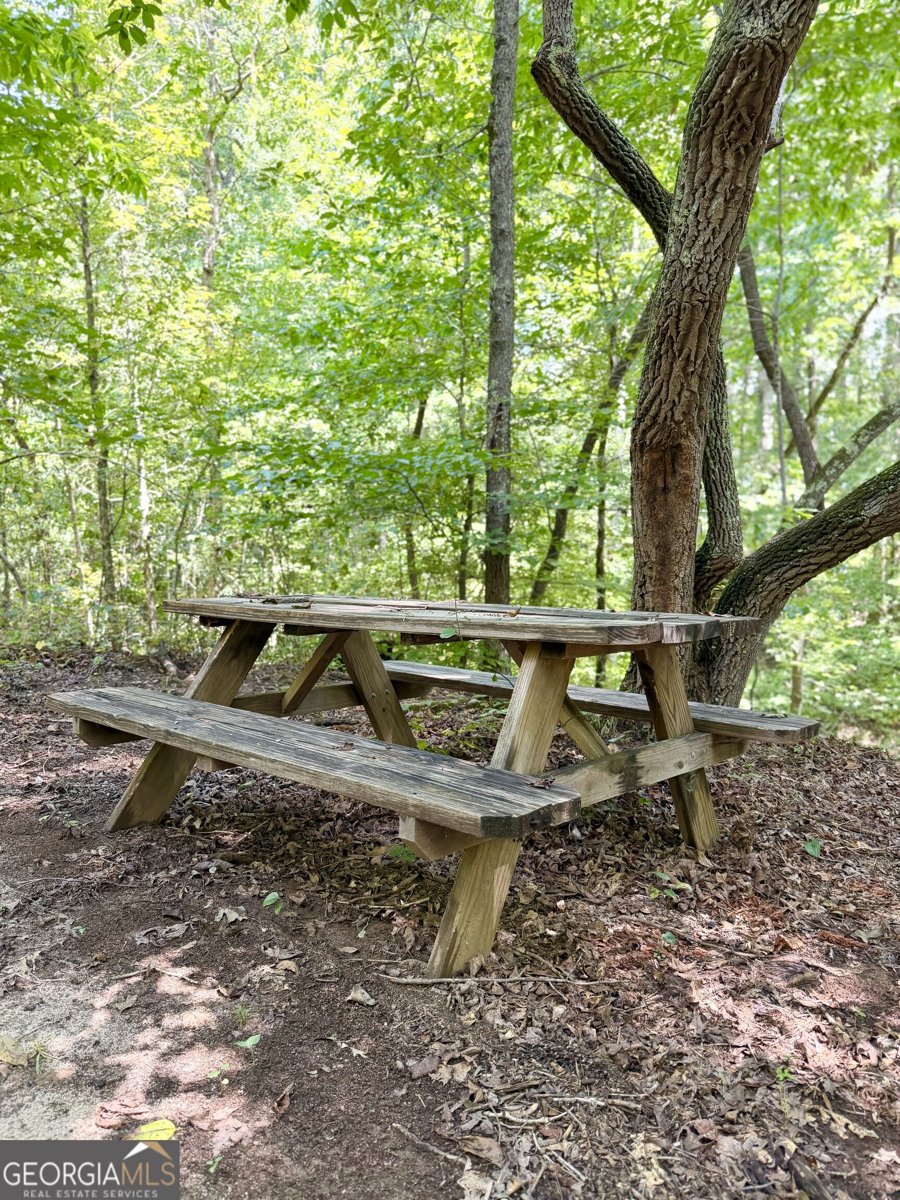 971 Bo Bo Banks Road Grantville - Photo 47