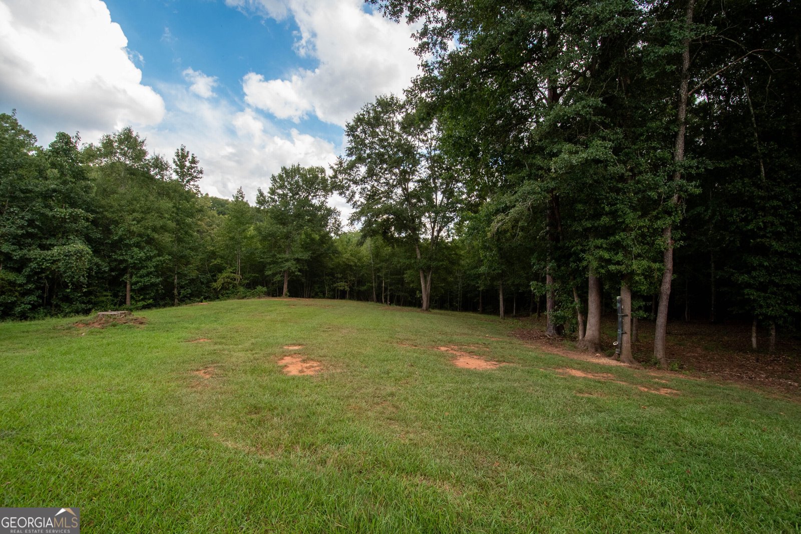 971 Bo Bo Banks Road Grantville - Photo 50