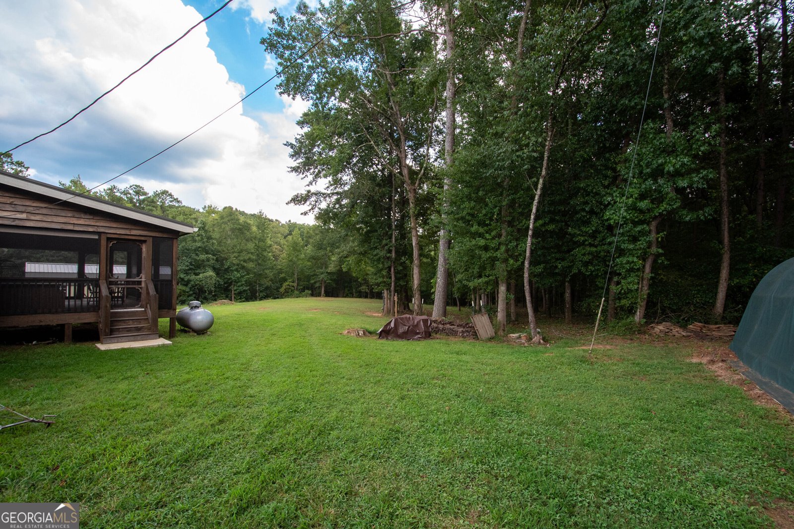 971 Bo Bo Banks Road Grantville - Photo 9