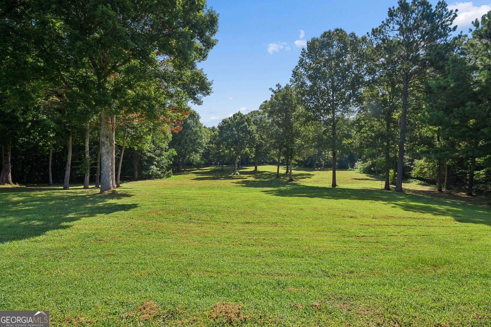 195 Green Meadow Lane Fayetteville - Photo 65
