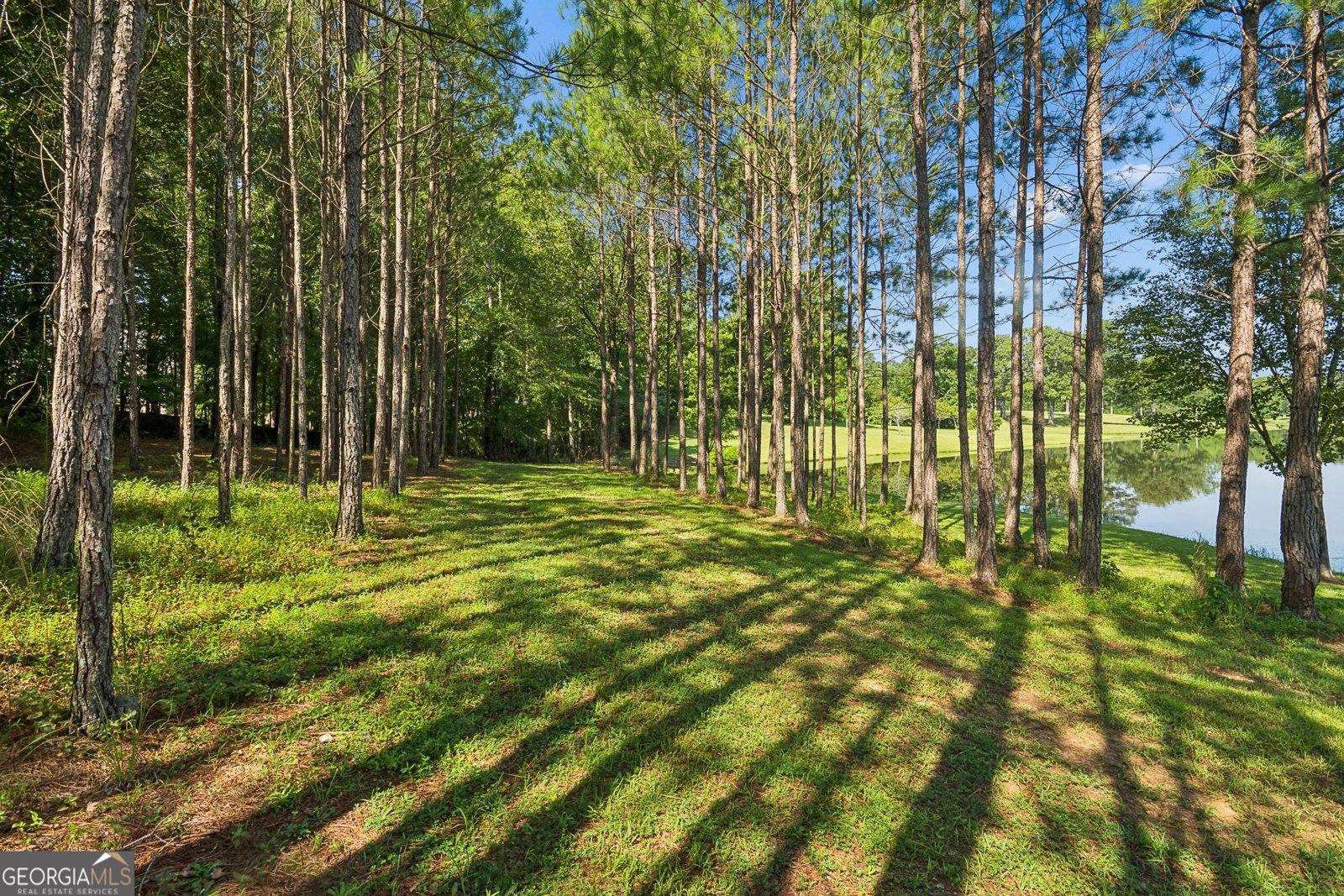 195 Green Meadow Lane Fayetteville - Photo 67