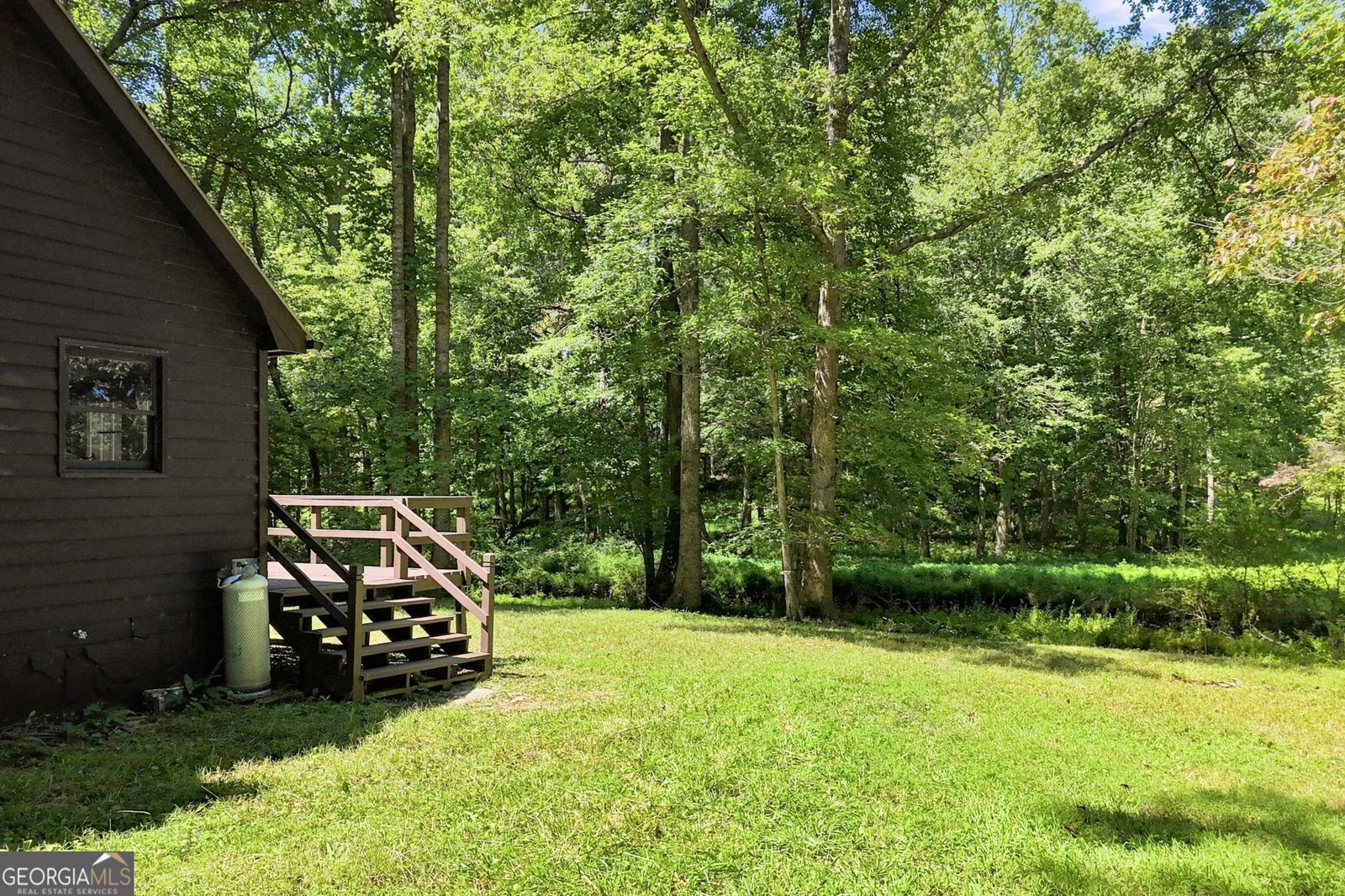 175 Hidden Forest Blue Ridge - Photo 37