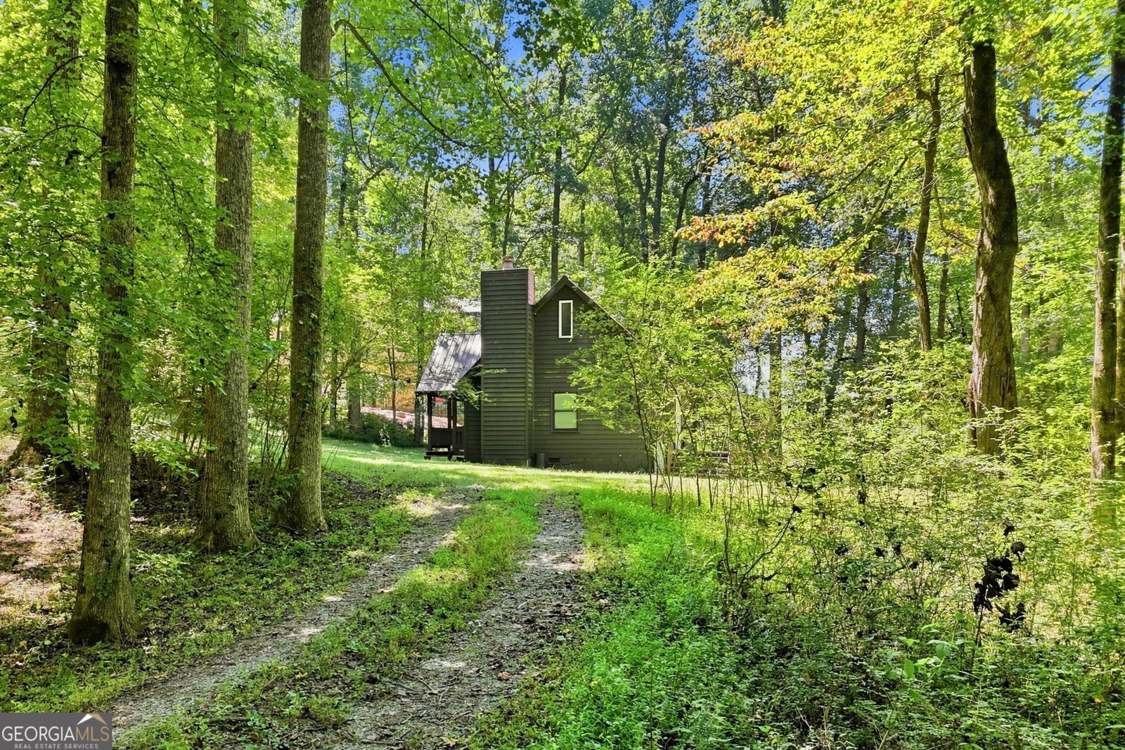 175 Hidden Forest Blue Ridge - Photo 45