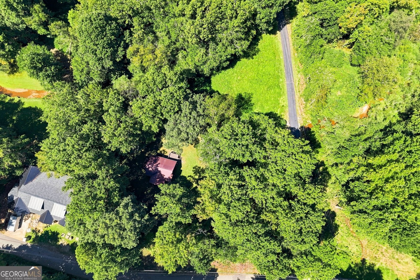 175 Hidden Forest Blue Ridge - Photo 46