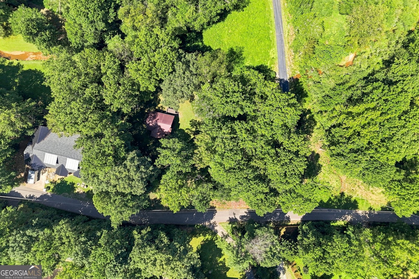 175 Hidden Forest Blue Ridge - Photo 47